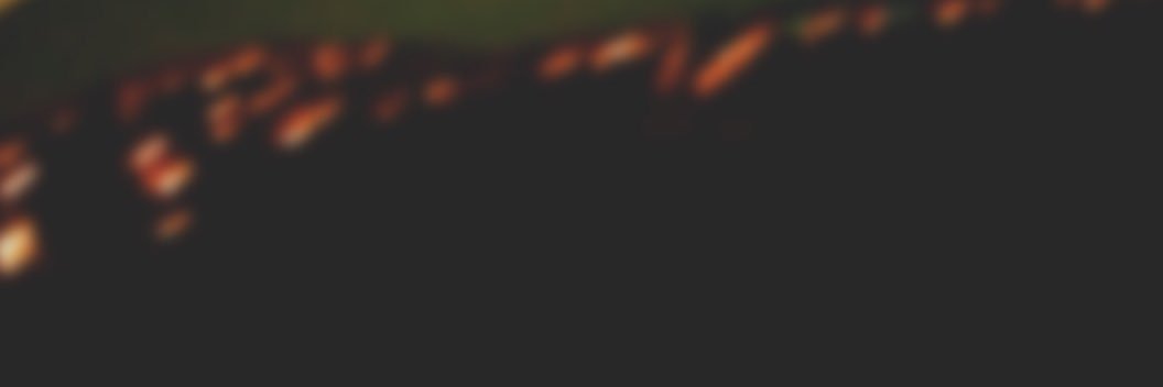 fdk_hani's profile banner image