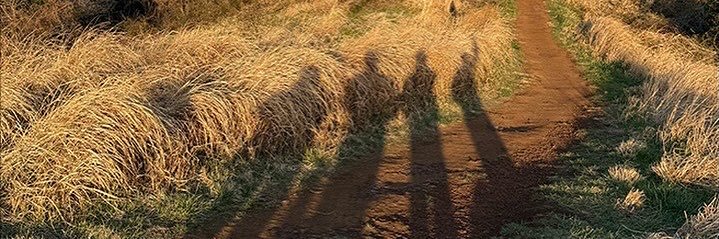 bucenfldg_'s profile banner image