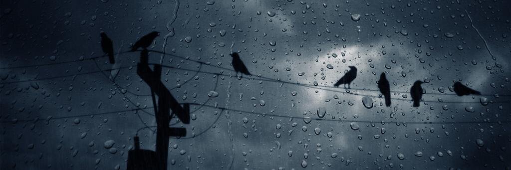 asellcuk's profile banner image