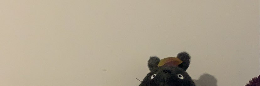 FloxaRR's profile banner image