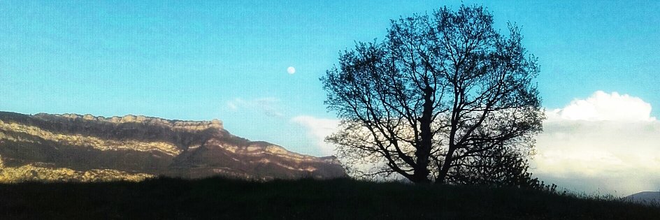 FranckGuissant's profile banner image