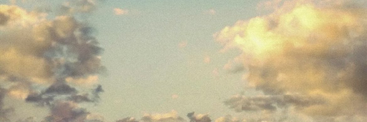 ines_blrb's profile banner image