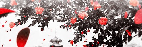 YuztekOG's profile banner image