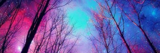 limonadaa21's profile banner image
