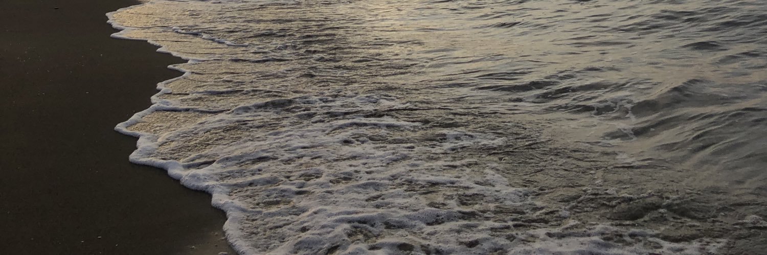 pnarryiizz's profile banner image