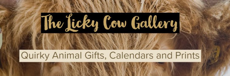 LickyCowGallery's profile banner image
