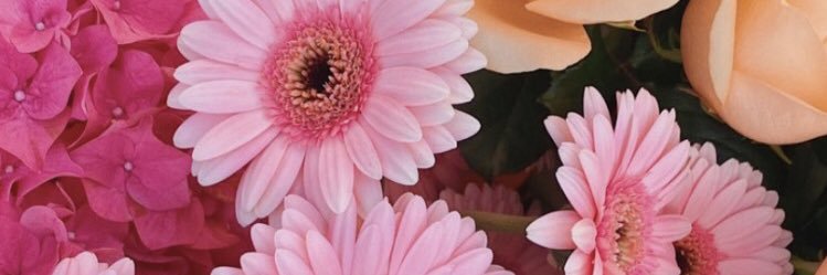 frangregory88's profile banner image
