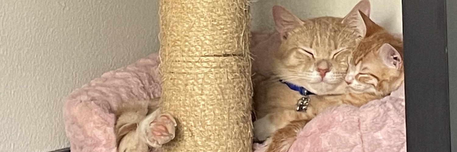 DestiniiiMarie's profile banner image