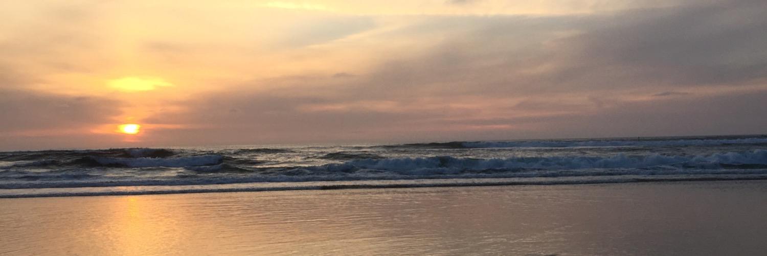 EmilyBrasch's profile banner image