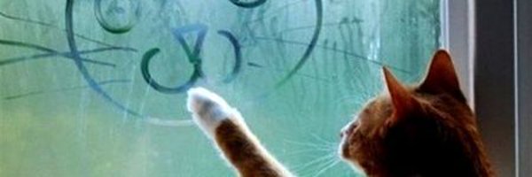 MostBoringJeni Profile Banner