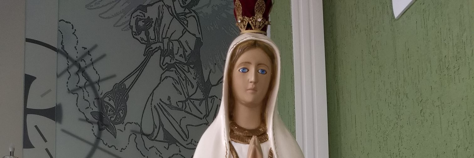 Nalva 💚🇧🇷💛 banner