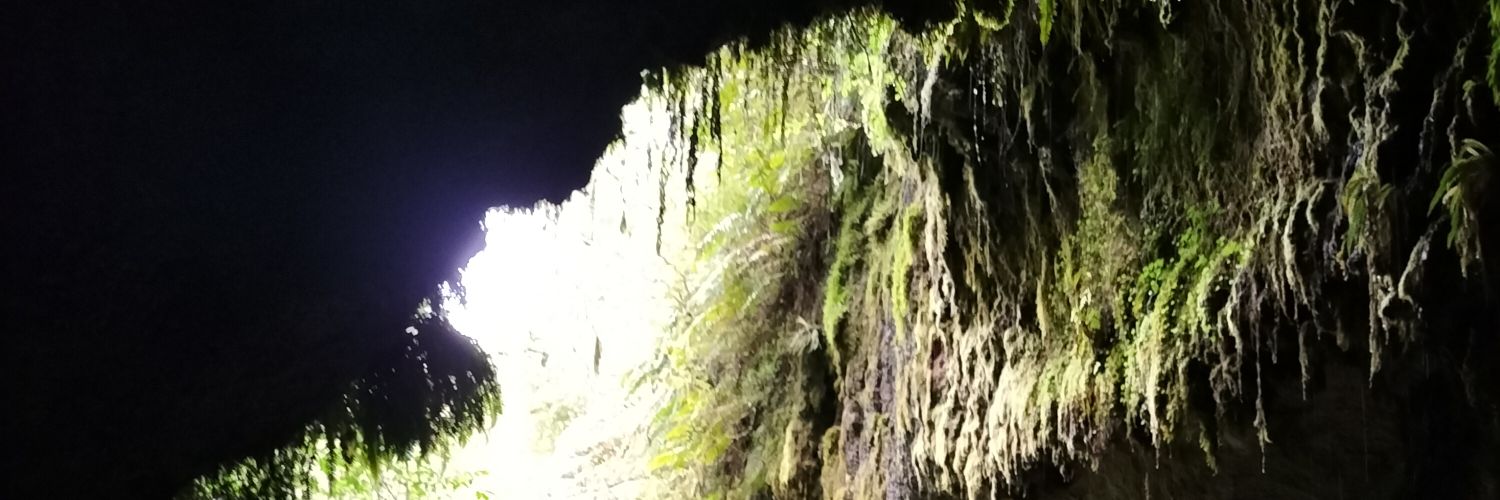HELIOSnz's profile banner image
