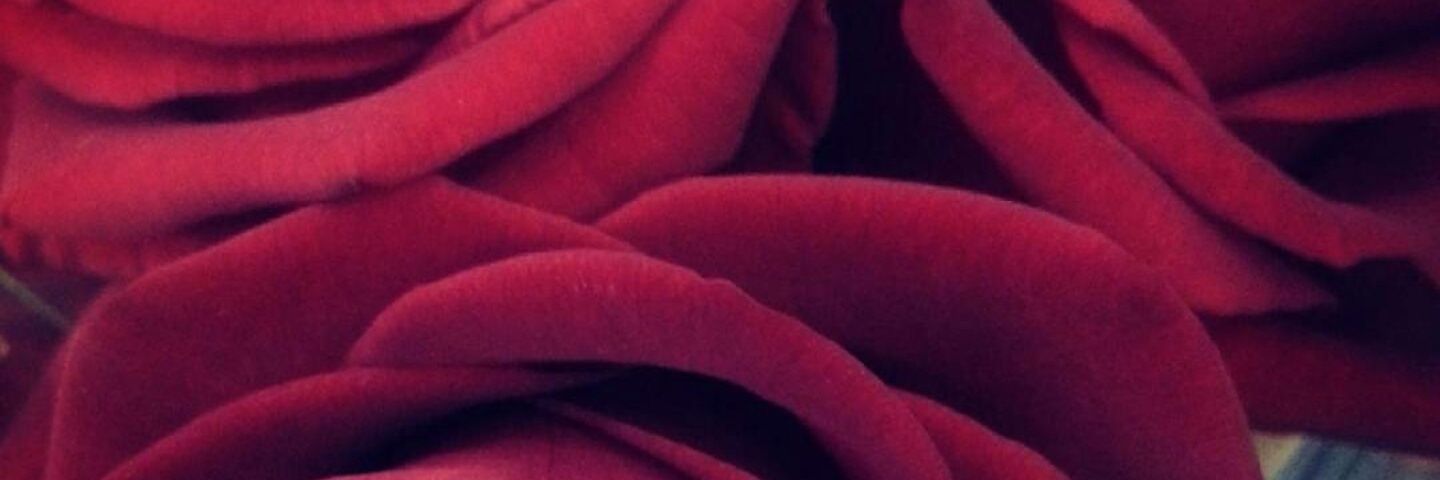 cakeggu's profile banner image