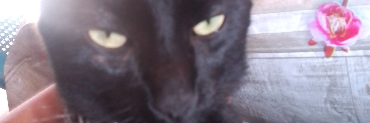 Autorny's profile banner image