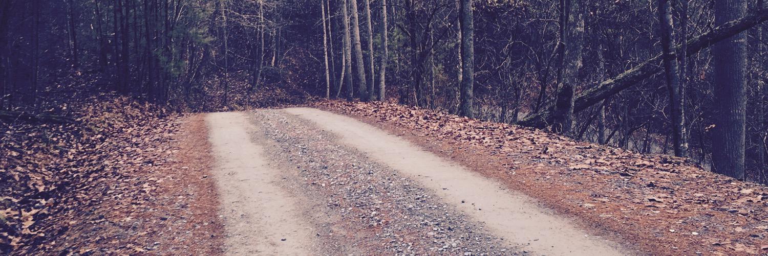 williamskim390's profile banner image