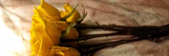 85_z_'s profile banner image