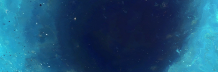 paula7fe's profile banner image