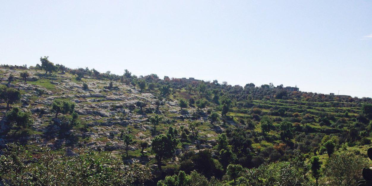 ابو محمد banner