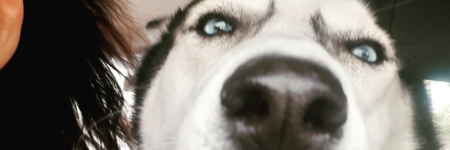 LlilliCarolin's profile banner image