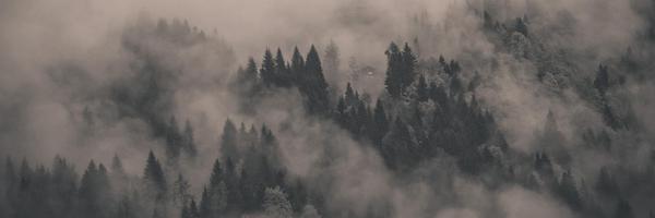 ColeAHagedorn Profile Banner