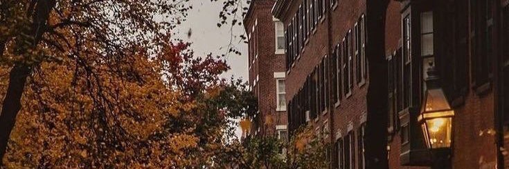Beth_Barnes_'s profile banner image