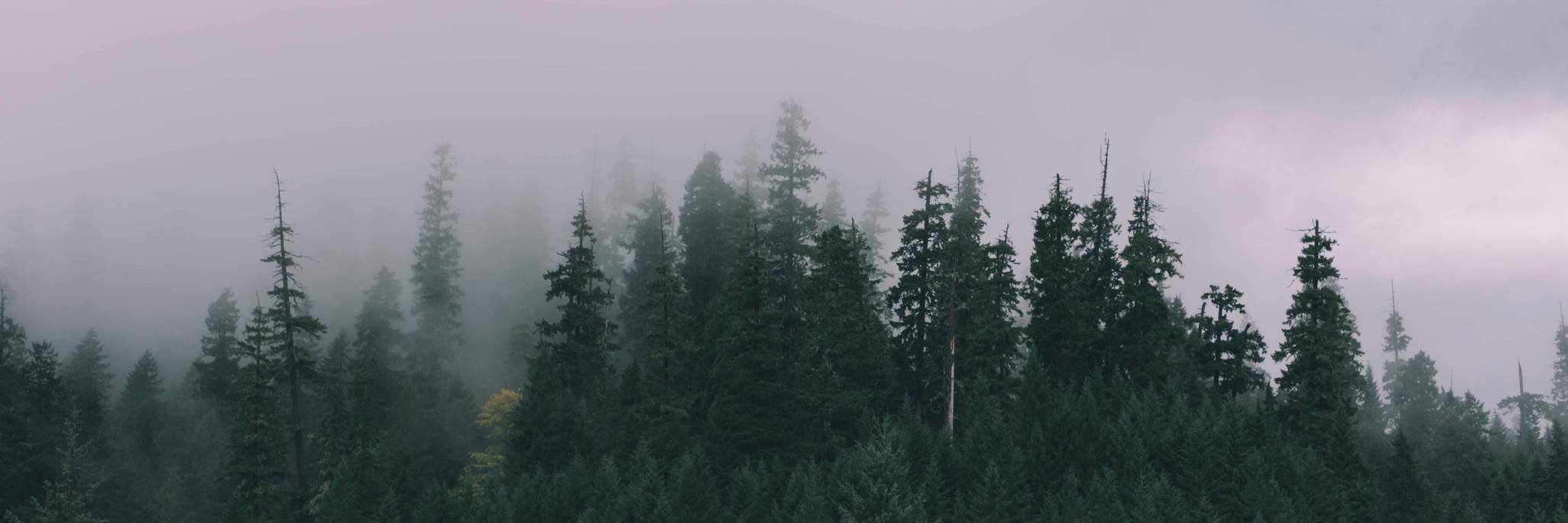 usabeardco's profile banner image