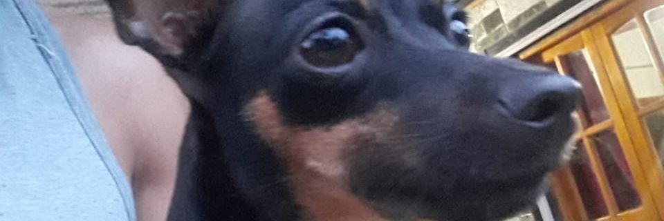 betaa_beta's profile banner image