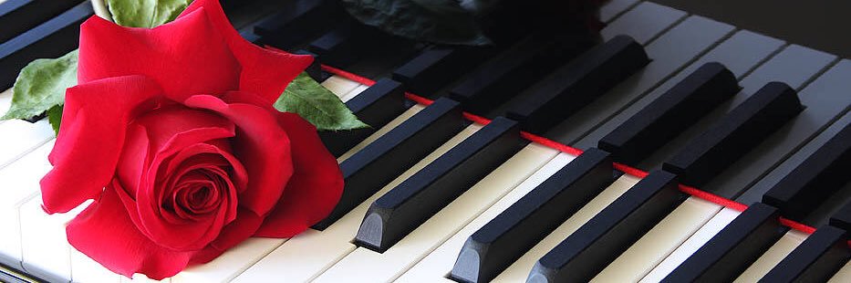 PAIPxN48's profile banner image