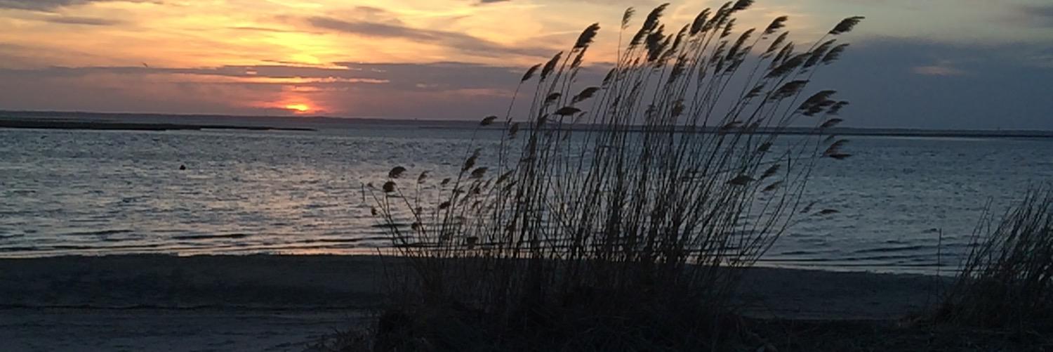 LBI_DreamMakers's profile banner image