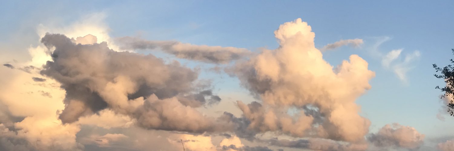 ____malgo's profile banner image