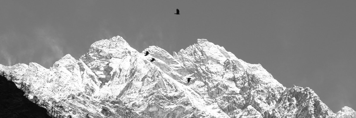 WildernessEAMed's profile banner image