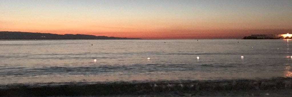 eliisalarocca's profile banner image