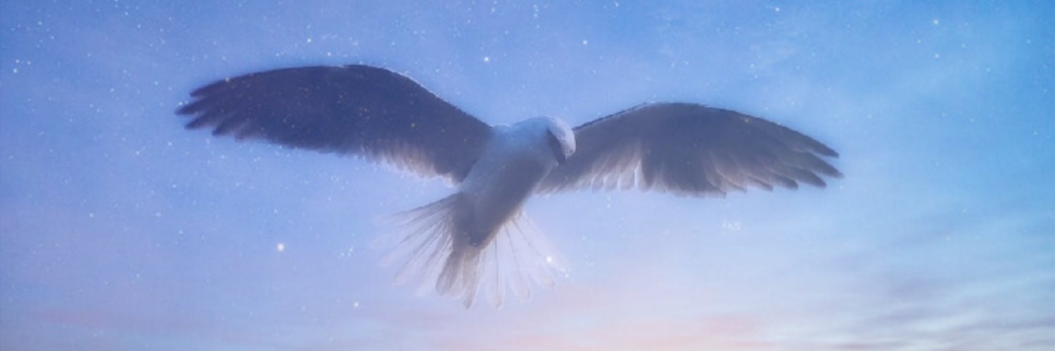 Dragonflyaus's profile banner image