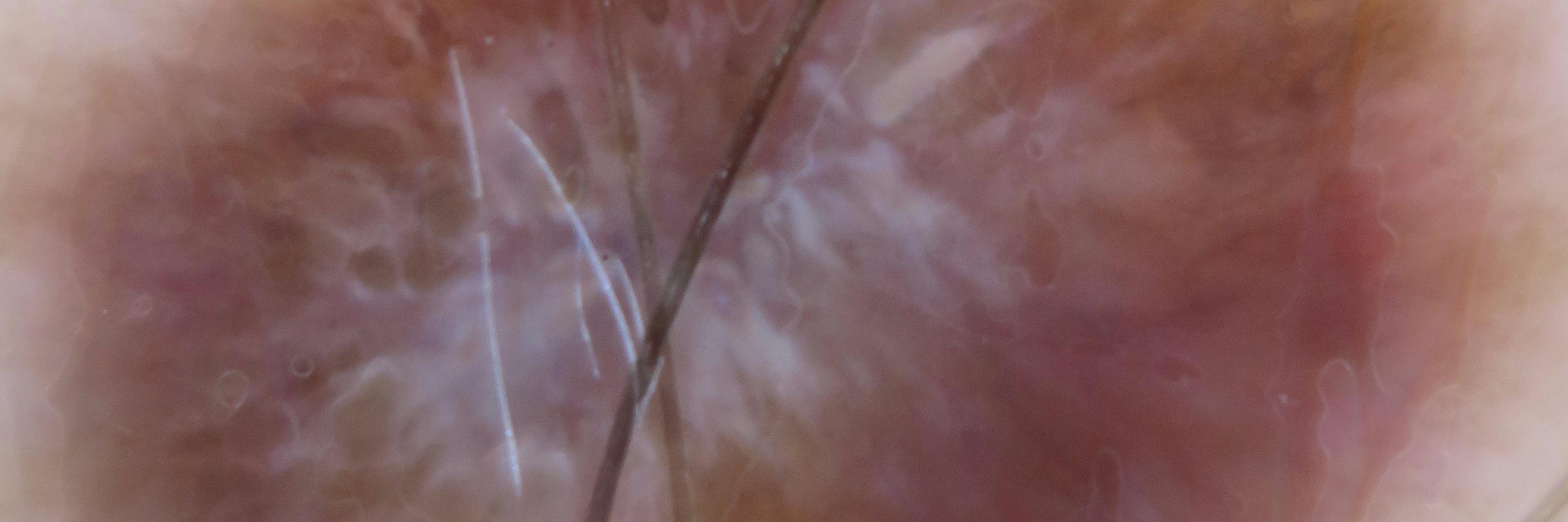 SLanssensMD's profile banner image