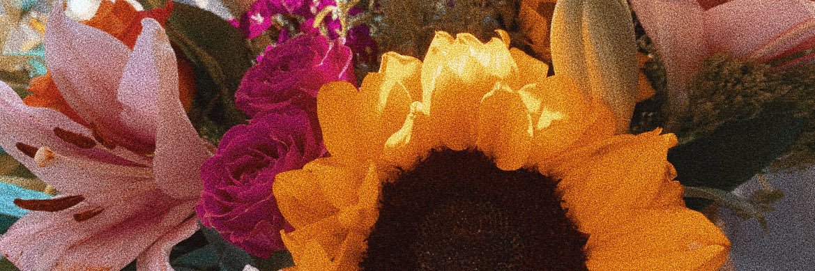 aprile_x's profile banner image