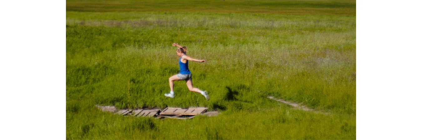 Sylvia Fechner banner