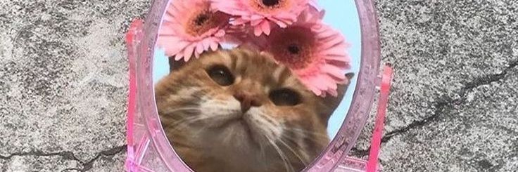 milesfromearthv's profile banner image