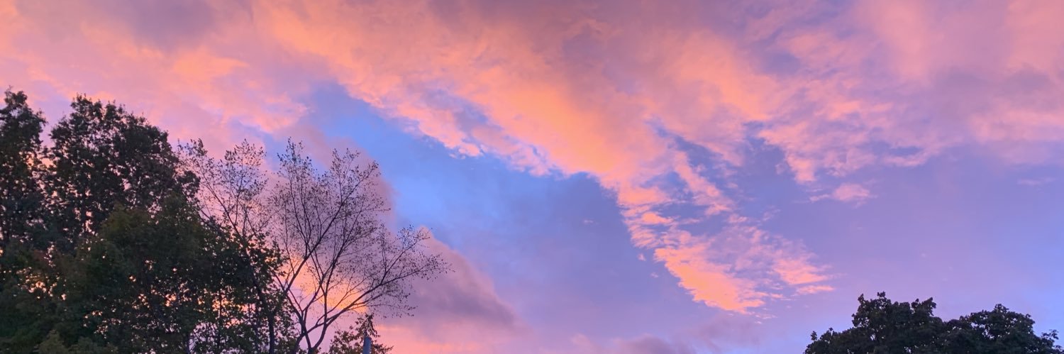 msongxo's profile banner image