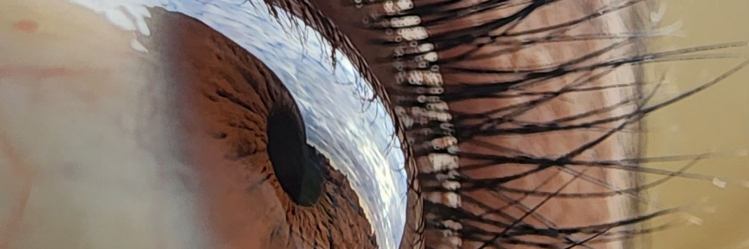 abkr1_'s profile banner image