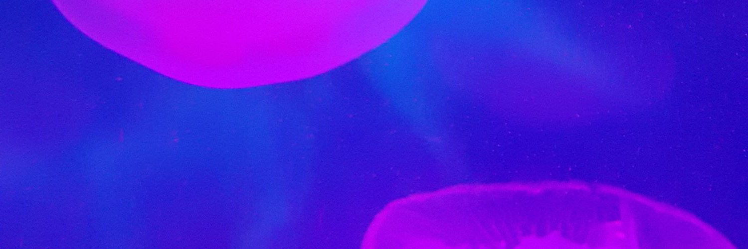EllyHanrahan's profile banner image