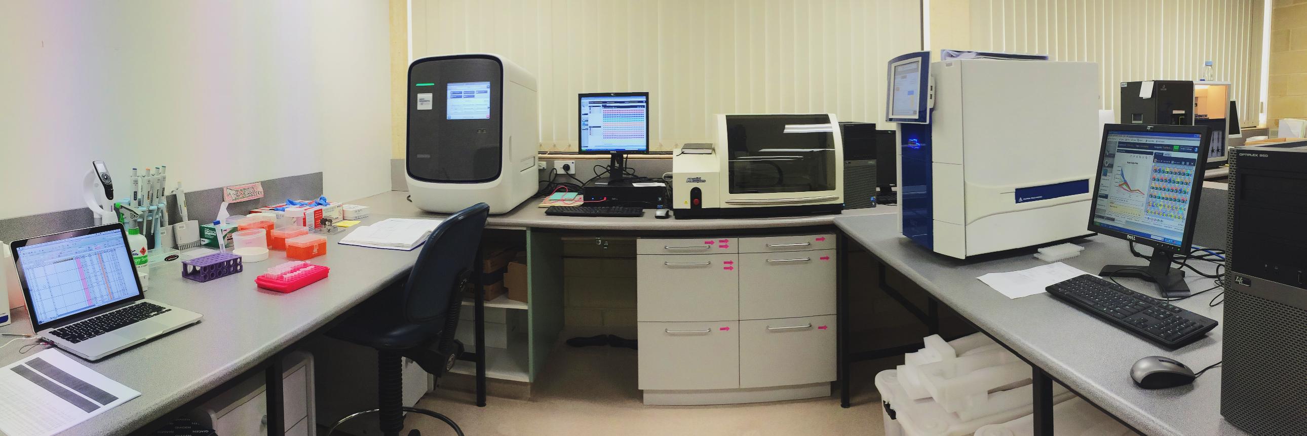 Tenielle Porter banner