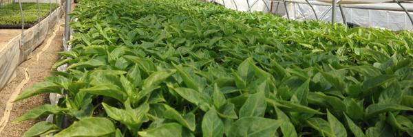 norwichmeadows Profile Banner