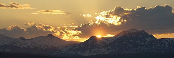 fremover Profile Banner