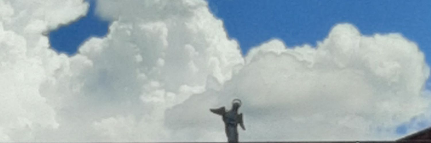 MariangelMuoz's profile banner image