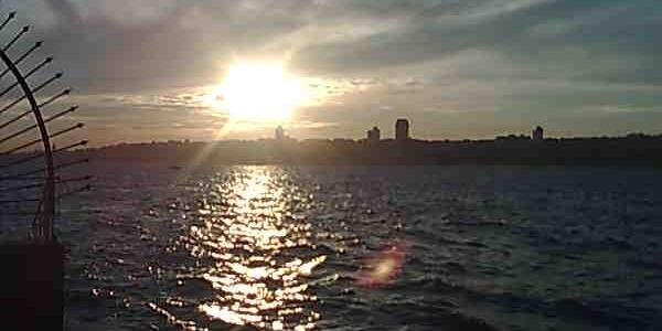 FSley's profile banner image