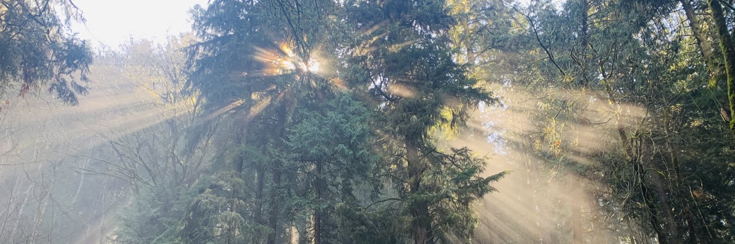 StormqueenPaula's profile banner image