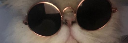 fiore_den's profile banner image