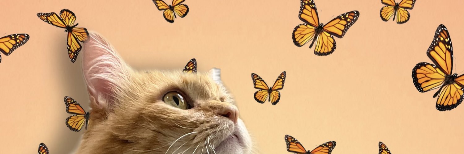 baeloffy's profile banner image