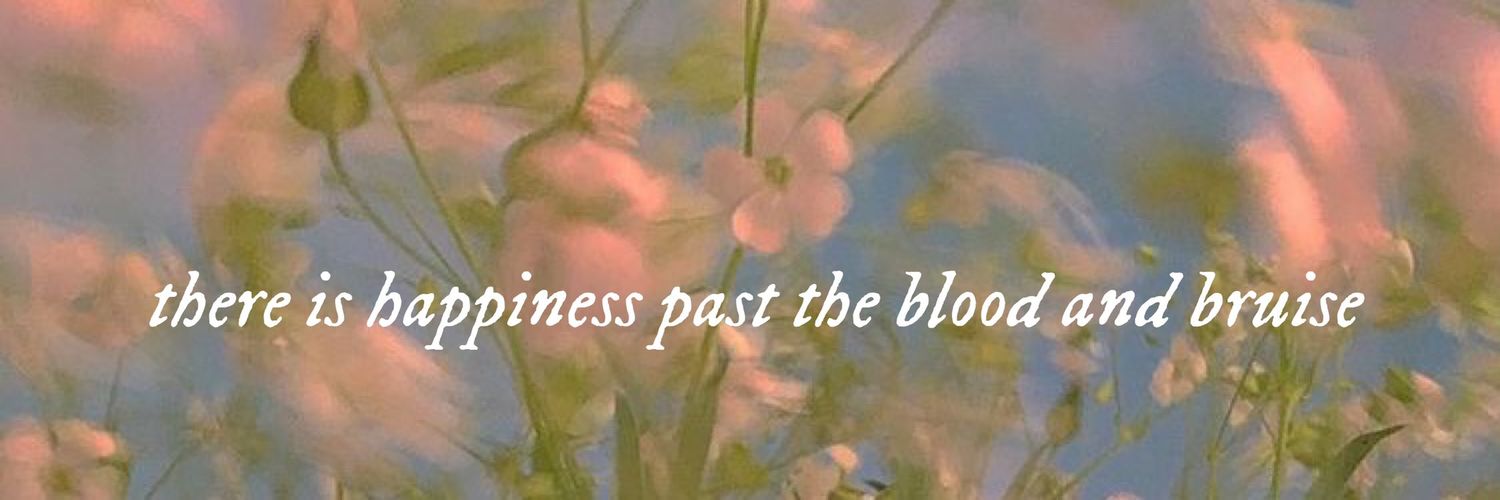 dontmesswithTS's profile banner image