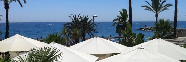 SarahMeek2 Profile Banner